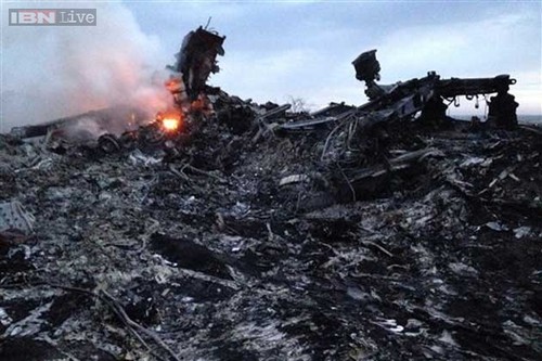 225 victims of downed Malaysia Airlines flight MH17 identified - ảnh 1